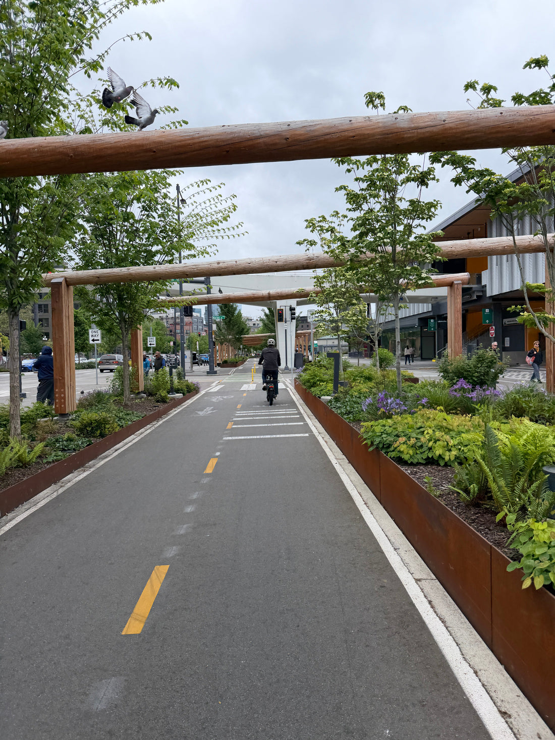 The Best Biking Trails in Seattle