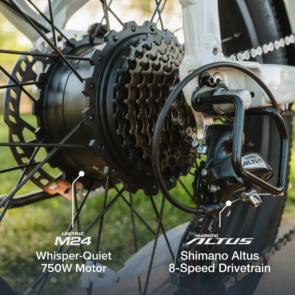 XP4 750 Pine Green eBike