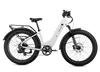 XPeak2 Step-Thru Long-Range eBike